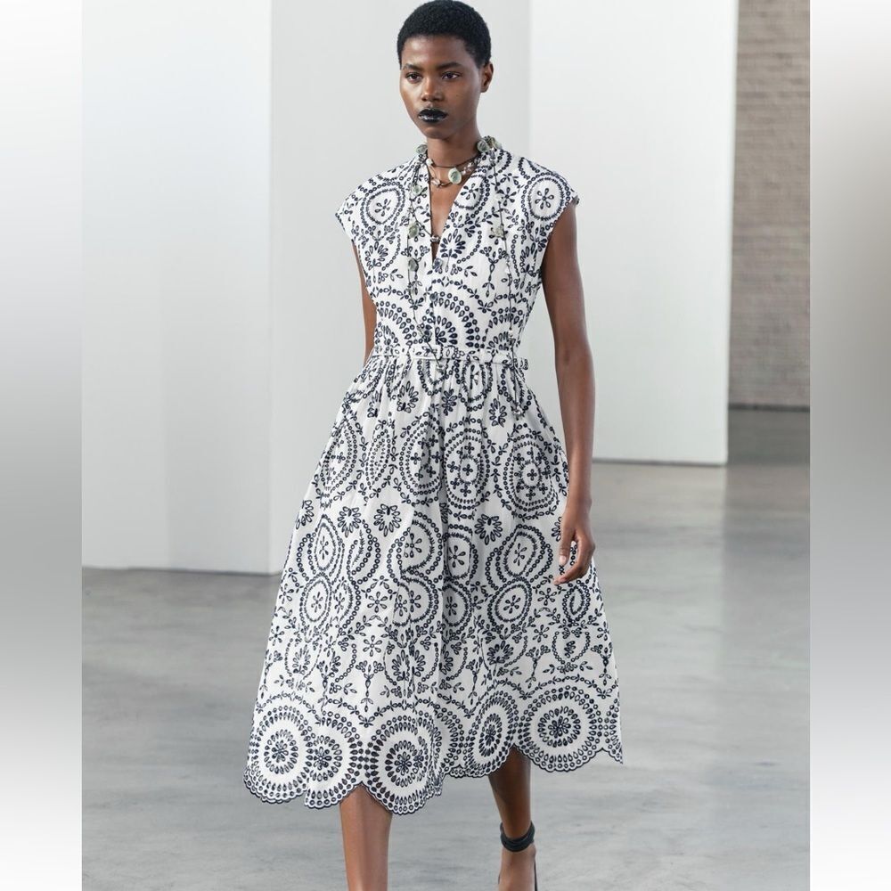Zara ZW collection cotton embroidered midi dress NWT